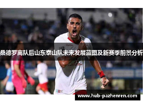桑德罗离队后山东泰山队未来发展蓝图及新赛季前景分析