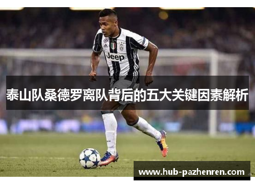 泰山队桑德罗离队背后的五大关键因素解析