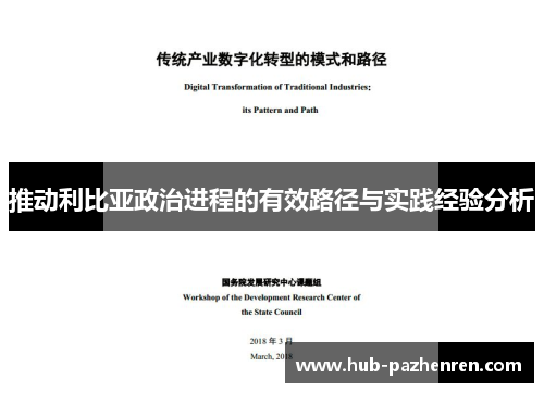 推动利比亚政治进程的有效路径与实践经验分析